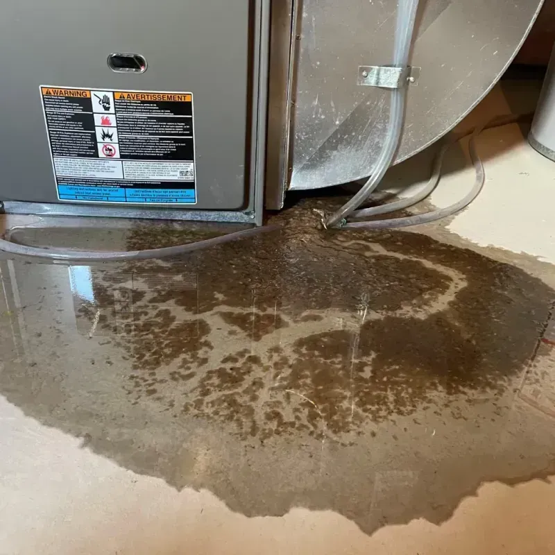 Appliance Leak Cleanup in Whittingham, NJ